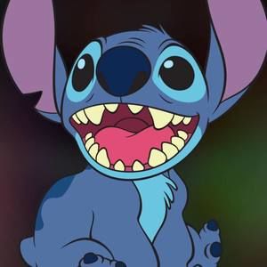 Meet your Posher, Maddie